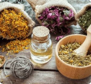 Siddha Medicines